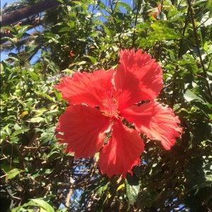 Meet your Posher, Nevada